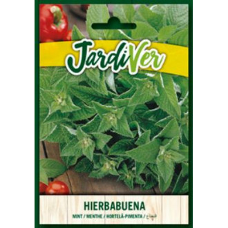 Hierbabuena