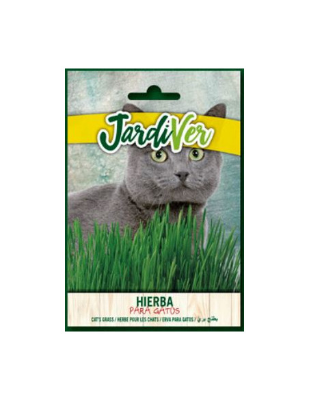 Hierba para Gatos