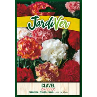 Clavel Chabaud