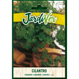 Cilantro
