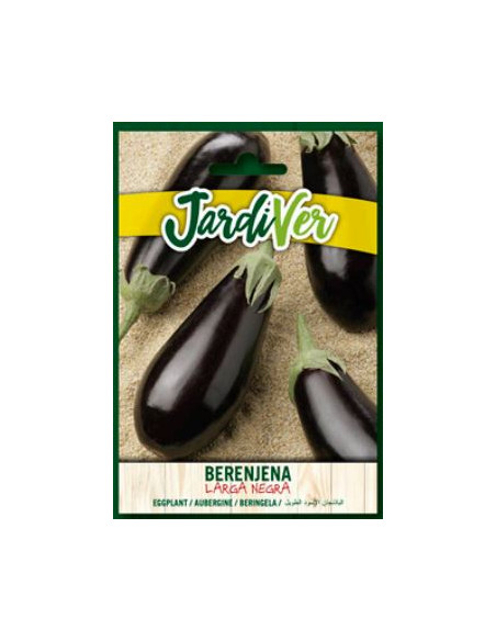 Berenjena Larga Negra