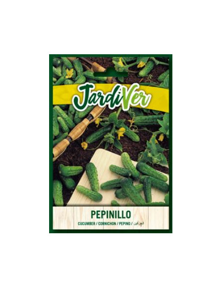 Pepinillo