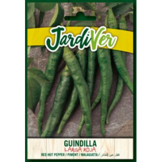 Guindilla Larga Roja