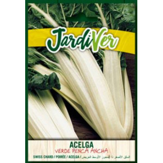 Acelga Verde Penca Ancha