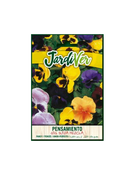 Pensamiento Gig.Suiza Mezcla