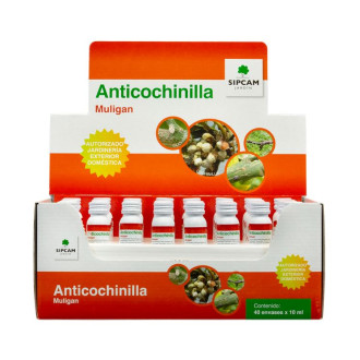 Anticochinilla Muligan