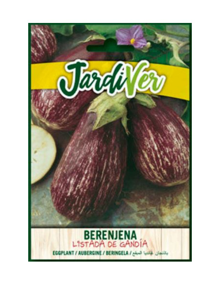 Berenjena Listada de Gandia