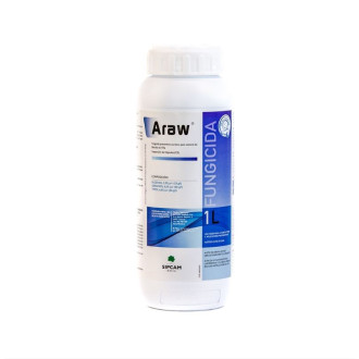 Araw 2