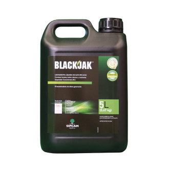 BlackJack