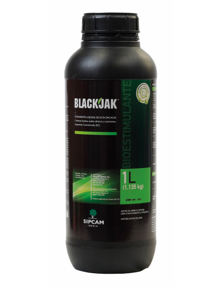 BlackJack BlackJack