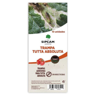 Trampa Cromatica Tuta Absoluta