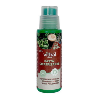 Pasta Cicatrizante