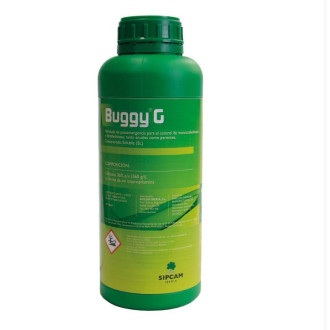 Buggy G 2