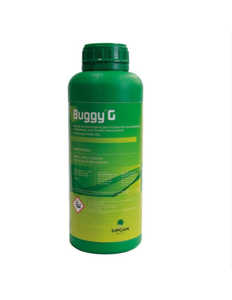 Buggy G Buggy G