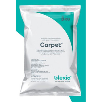 Carpet