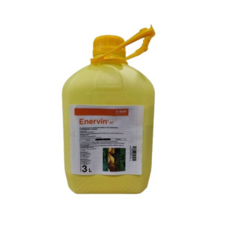 Enervin SC