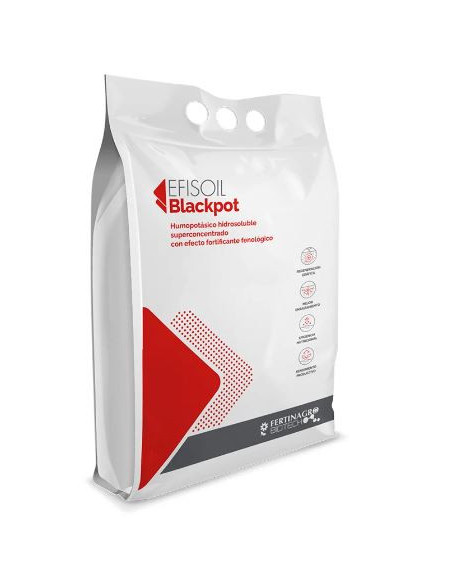 Blackpot Blackpot