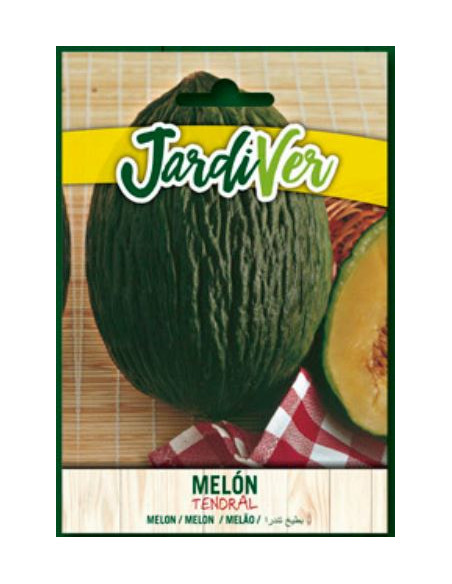 Melon tendral