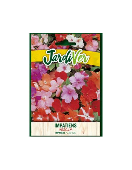 Impatiens