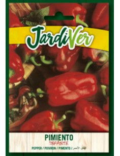Pimiento Infante