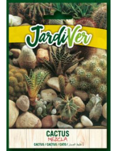 Cactus Variado