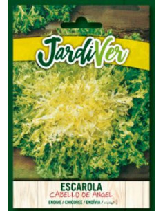 Escarola Cabello de Angel