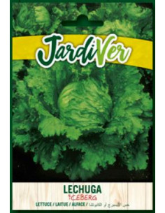 Lechuga Iceberg