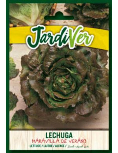 Lechuga Maravilla de Verano