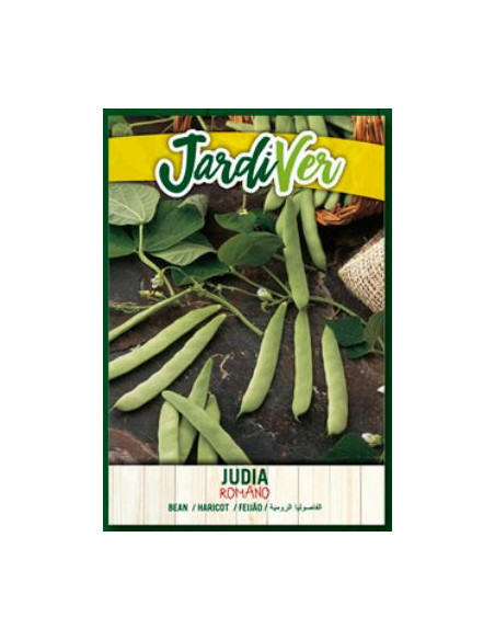 Judia Romano 250Grs Judia Romano 250Grs