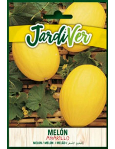 Melon Amarillo