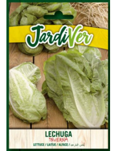 Lechuga Inverna