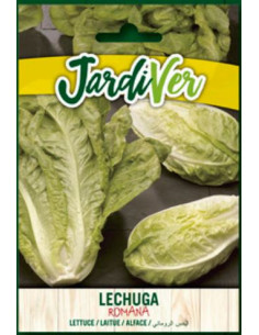 Lechuga Romana