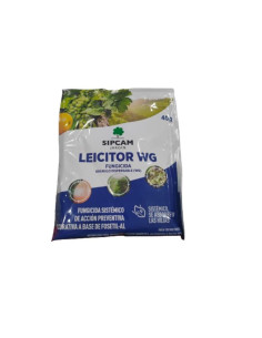 Leicitor WG 2