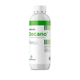 Decano