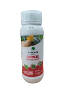 Epinsel