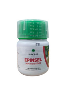 Epinsel 2