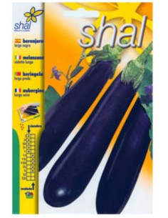 Berenjena Larga Negra