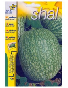 Calabaza Cabello de Angel