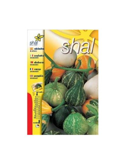 Calabacitas de Adorno Variada