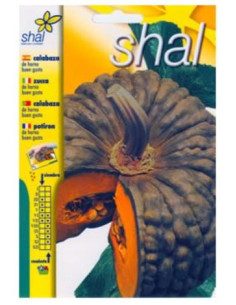 Calabaza de Horno Buen Gusto