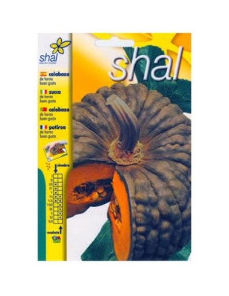 Calabaza de Horno Buen Gusto