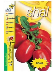 Tomate Roma