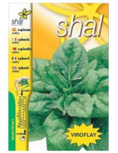 Espinaca Viroflay