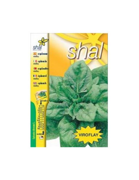 Espinaca Viroflay