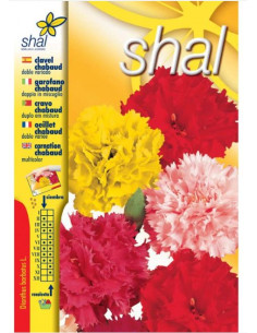 Clavel Chabaud Variado