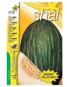 Melon Piñonet Piel de Sapo