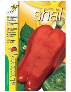 Pimiento Yolo Wonder