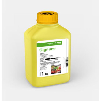 Signun WG