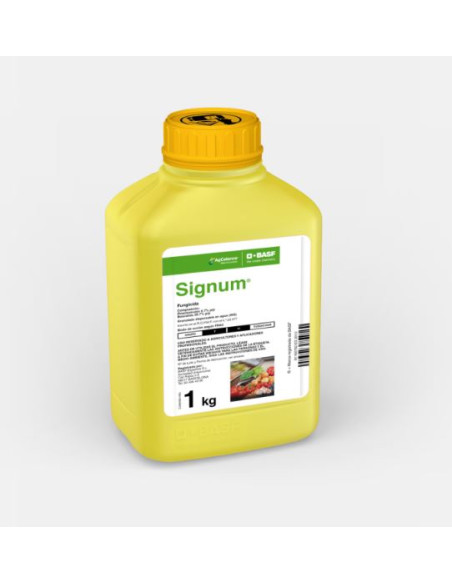 Signun WG Signun WG
