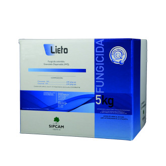 Lieto